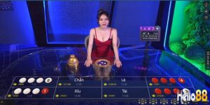 sòng bài Hello88