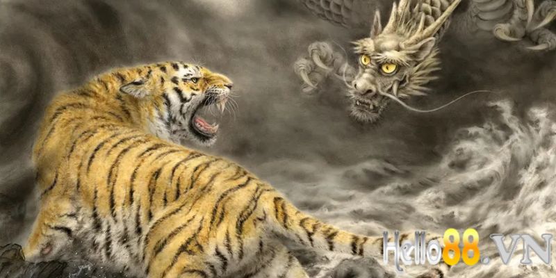 Kinh nghiệm chơi Dragon Tiger thắng đậm cho tân binh